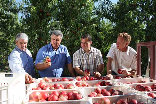 Men working on Family Tree Farms