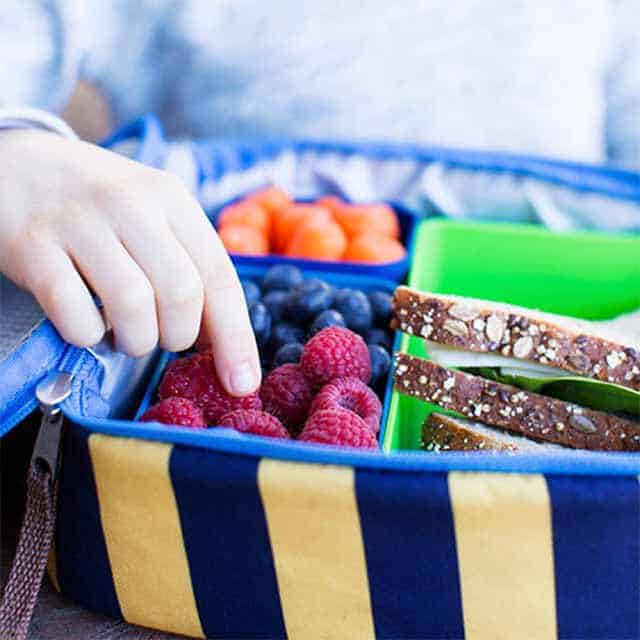 Healthy Lunchbox for Kids
