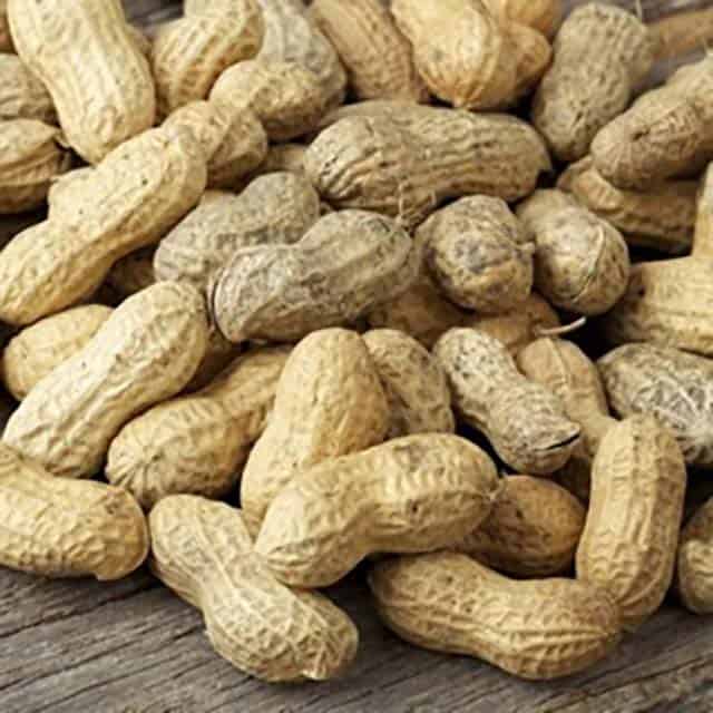 Peanuts