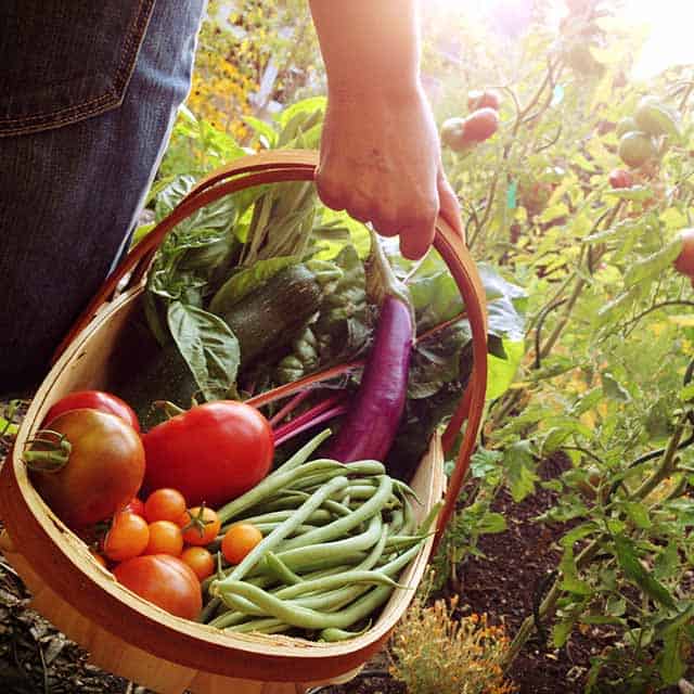Basket of healthy vegetables