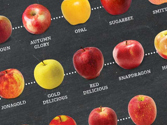 Apple Fruit Comparison Chart