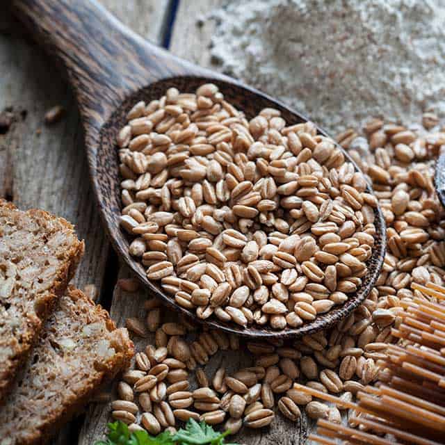 wooden spoon with vegan grains