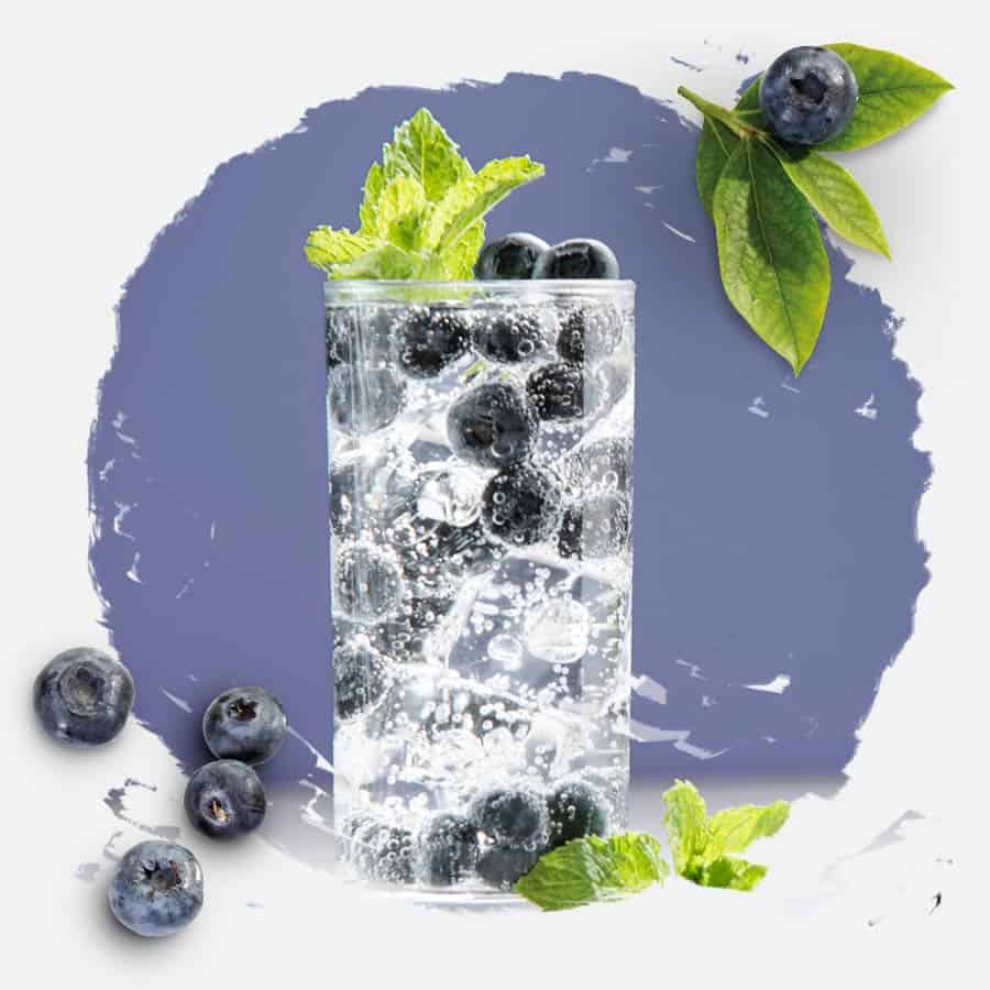 Blueberries and mint in Sparkling Water