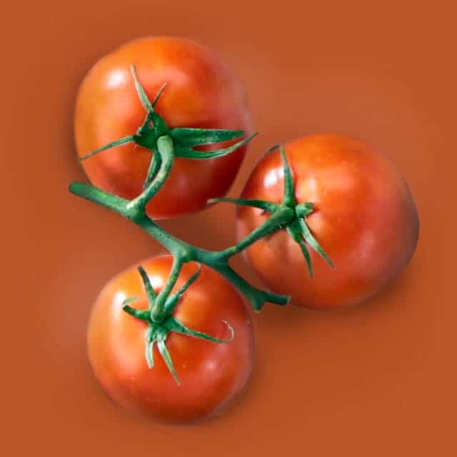 Three tomatoes on vine
