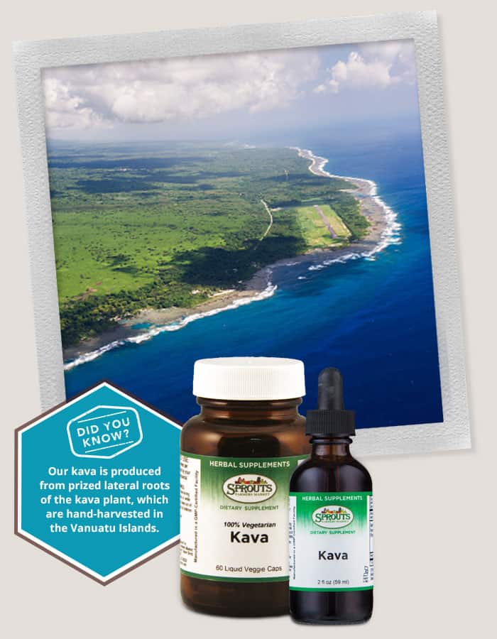 Kava and the Vanuatu Islands Kava and the Vanuatu Islands