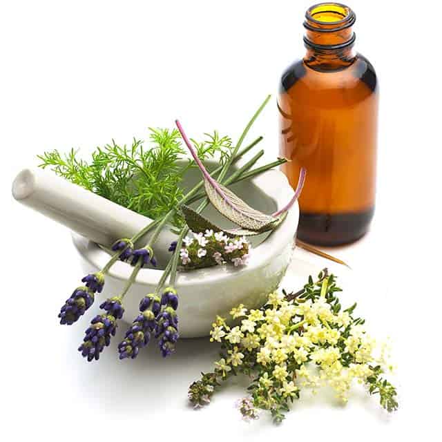 Bowl of various herbs with an empty bottle Bowl of various herbs with an empty bottle