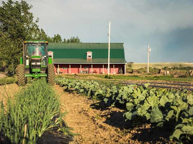 agricultural field with tractor and barn in background