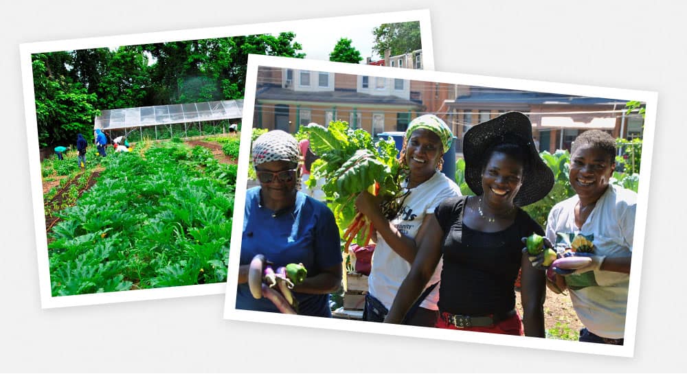 Sprouts Healthy Communities Foundation is proud to partner with Urban Tree Connection
