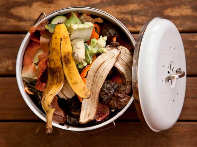 At home composting kit