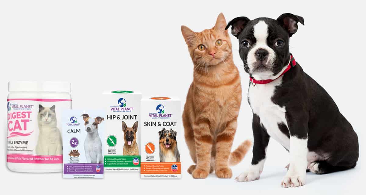 Vital Planet pet products, a cat and a boston terrier