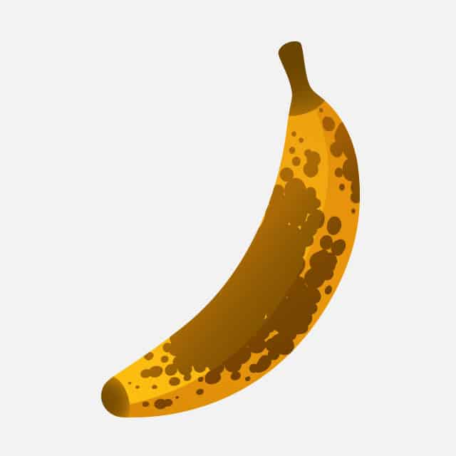 Black plantain