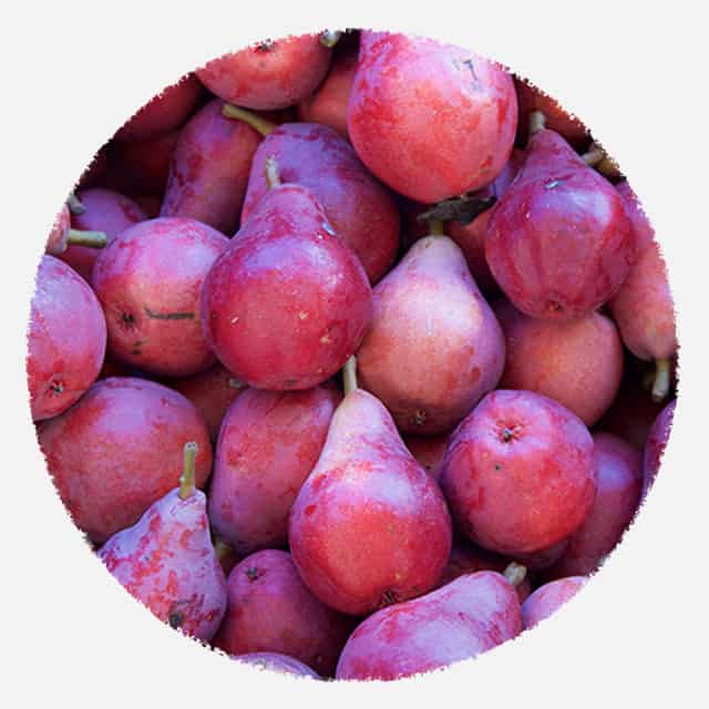 Red Anjou Pear Picks