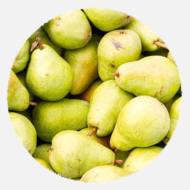 Bartlett Pear Picks