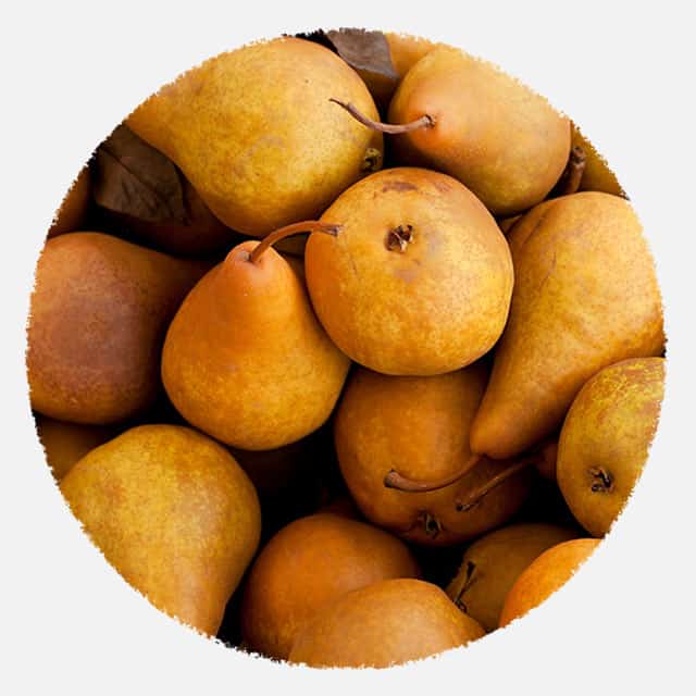 Bosc Pear Picks