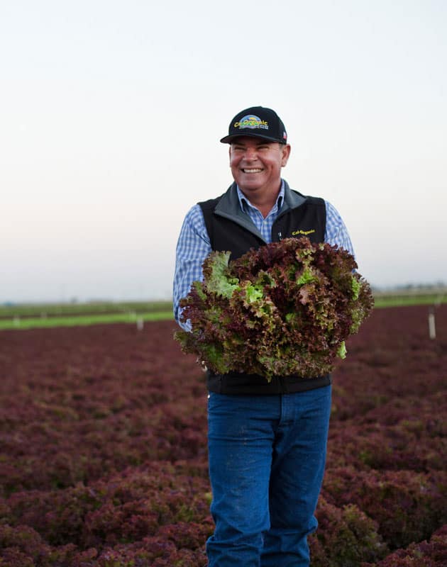 Cal-Organic Farm Farmer with lettuce
