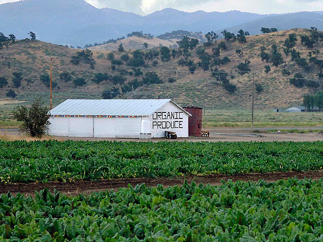 Cal-Organic Farm farmhouse