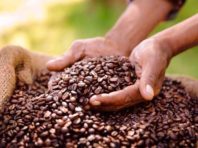 Fair Trade coffee beans with farmer