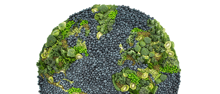 earth made out of produce