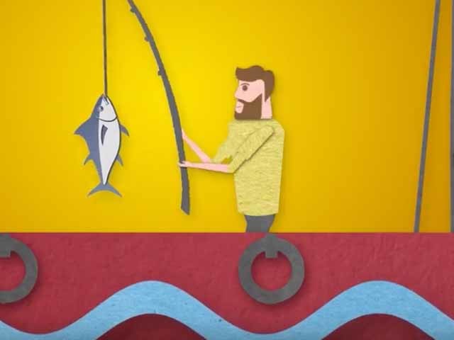 Wild Planet Tuna Fishing