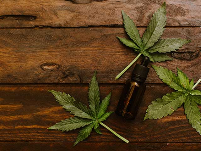 Curious About CBD Oil