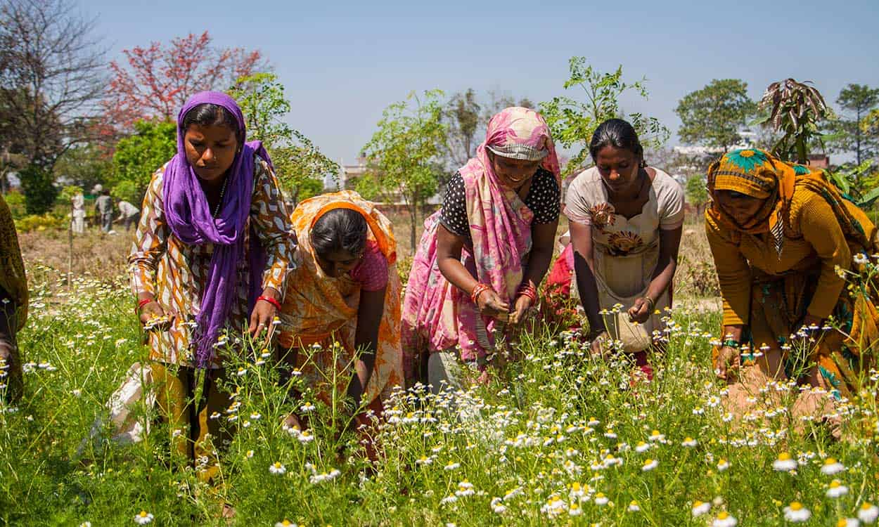 Farmers for Organic India