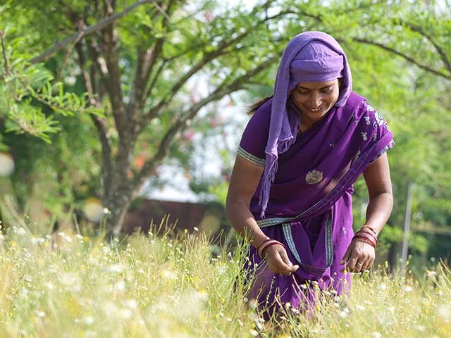 Regenerative Agriculture Farmer for Organic India