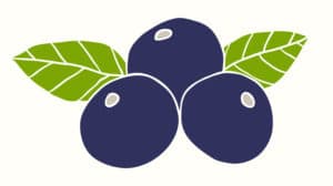 Açaí Berry