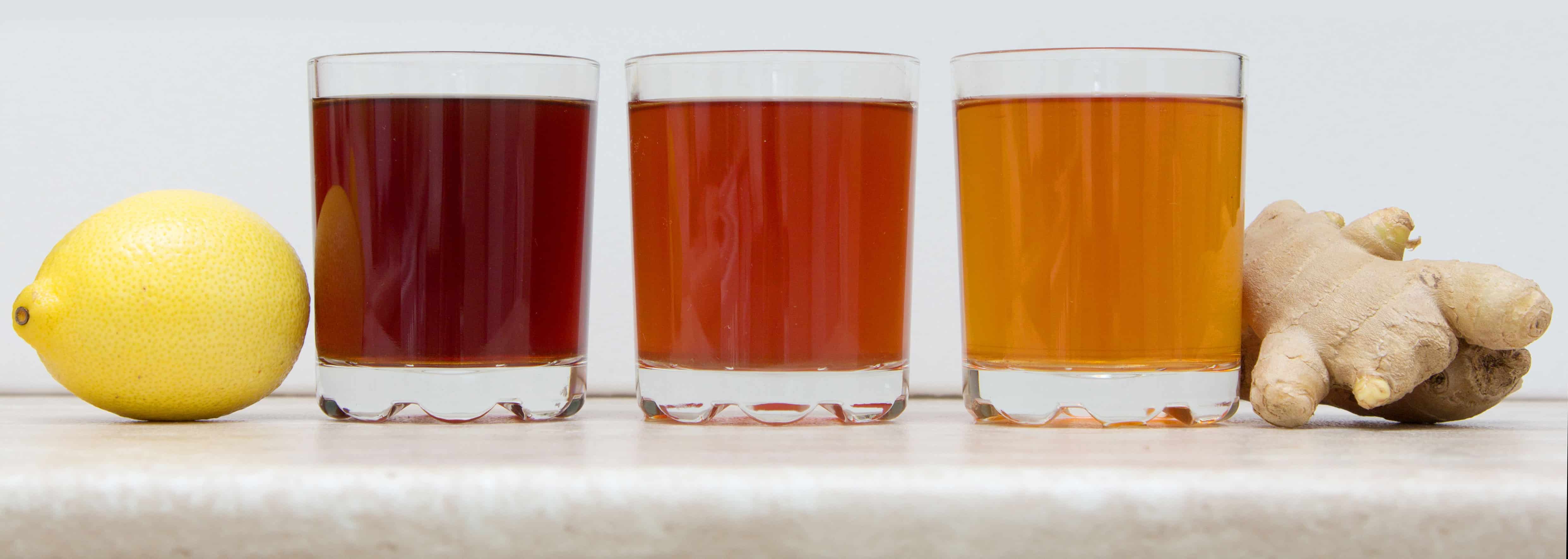 Kombucha Glasses
