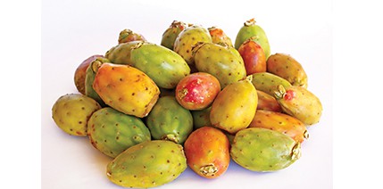 Prickly Pear