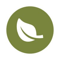 plant-based icon