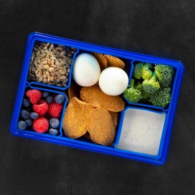 brain booster bento box lunch 