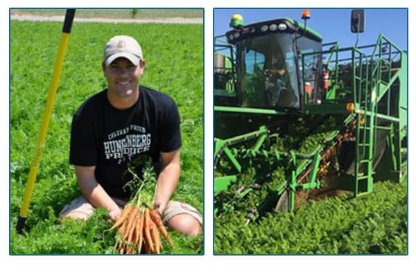 Hungerberg farmer holding carrots and farm equipment in field.