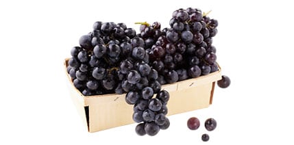 Thomcord grapes