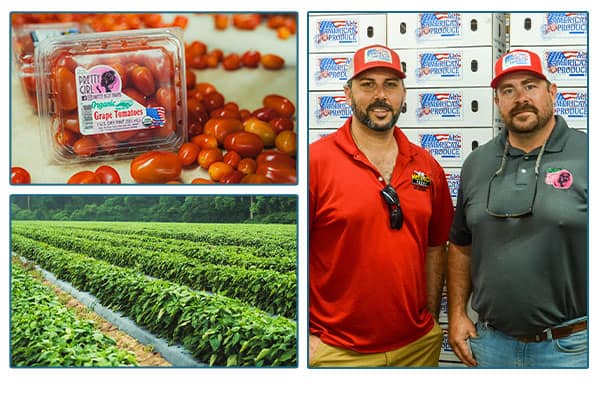 All American Produce owners, tomatoes, and field