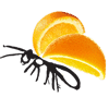Orange Bug