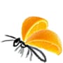 Orange Bug