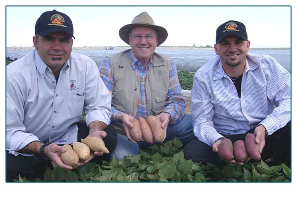 A.V. Thomas farmers holding potatoes.