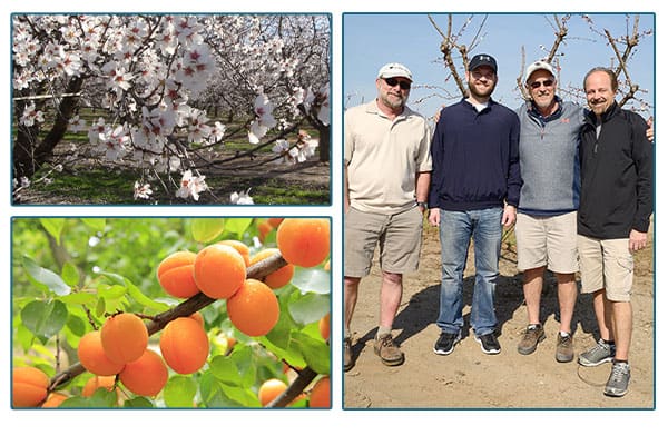 blossom hill packing owners, and images of apricot trees