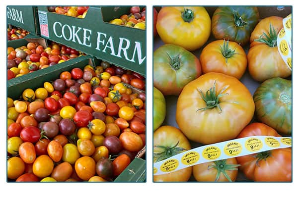 coke farm tomatoes in crates.