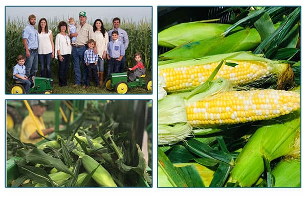 Green Circles Farm Family photo, and images of corn on the cob in green husks.