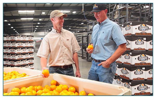 Two men in citrus warehouse