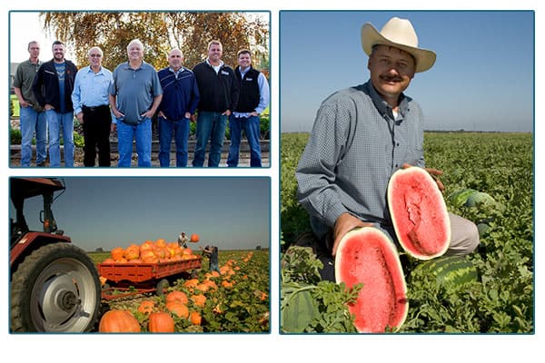 VanGroning Family Farms, a tractor pulling a wagon full of pumpkins, and a farmhand holding a watermelon.
