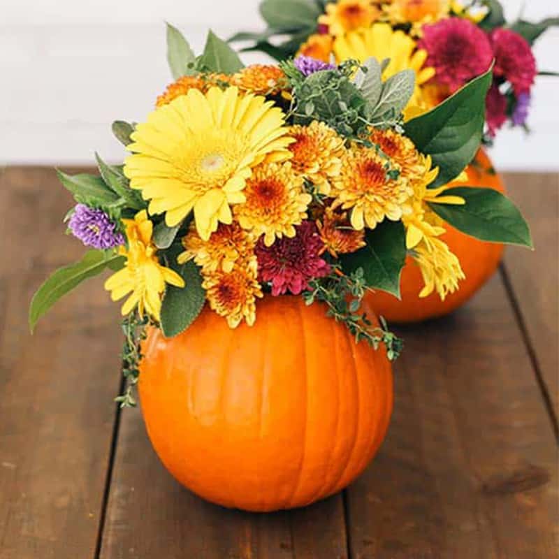 Pumpkin filled with fresh flowers