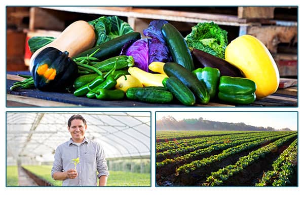 Pile of squash and other vegetables, and image of farmer & field.