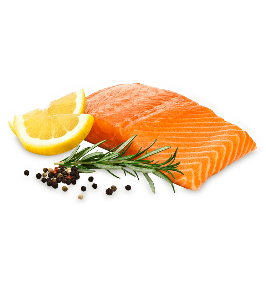 Sockeye Salmon
