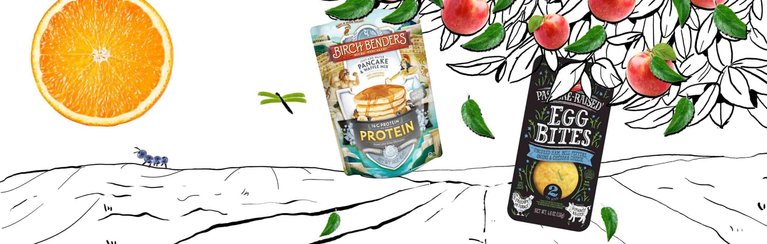 High Protein Products Illustration