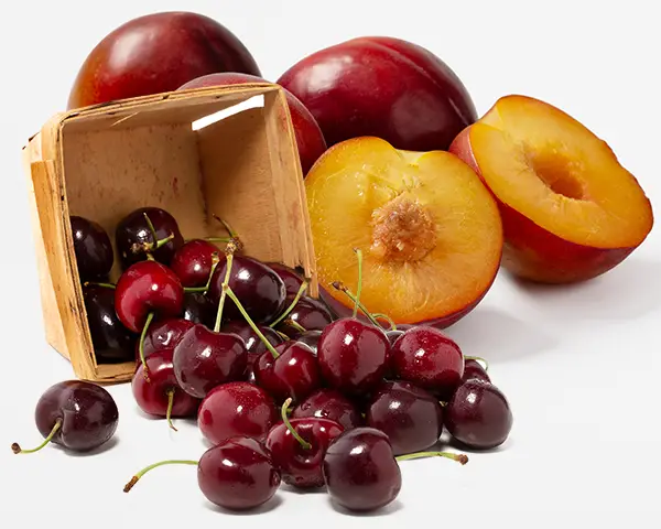 crate of cherries spilling out in front of a bunch of apricots.