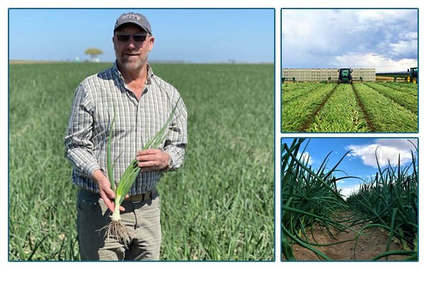 Peri & Sons farmer, field and close up image of field.