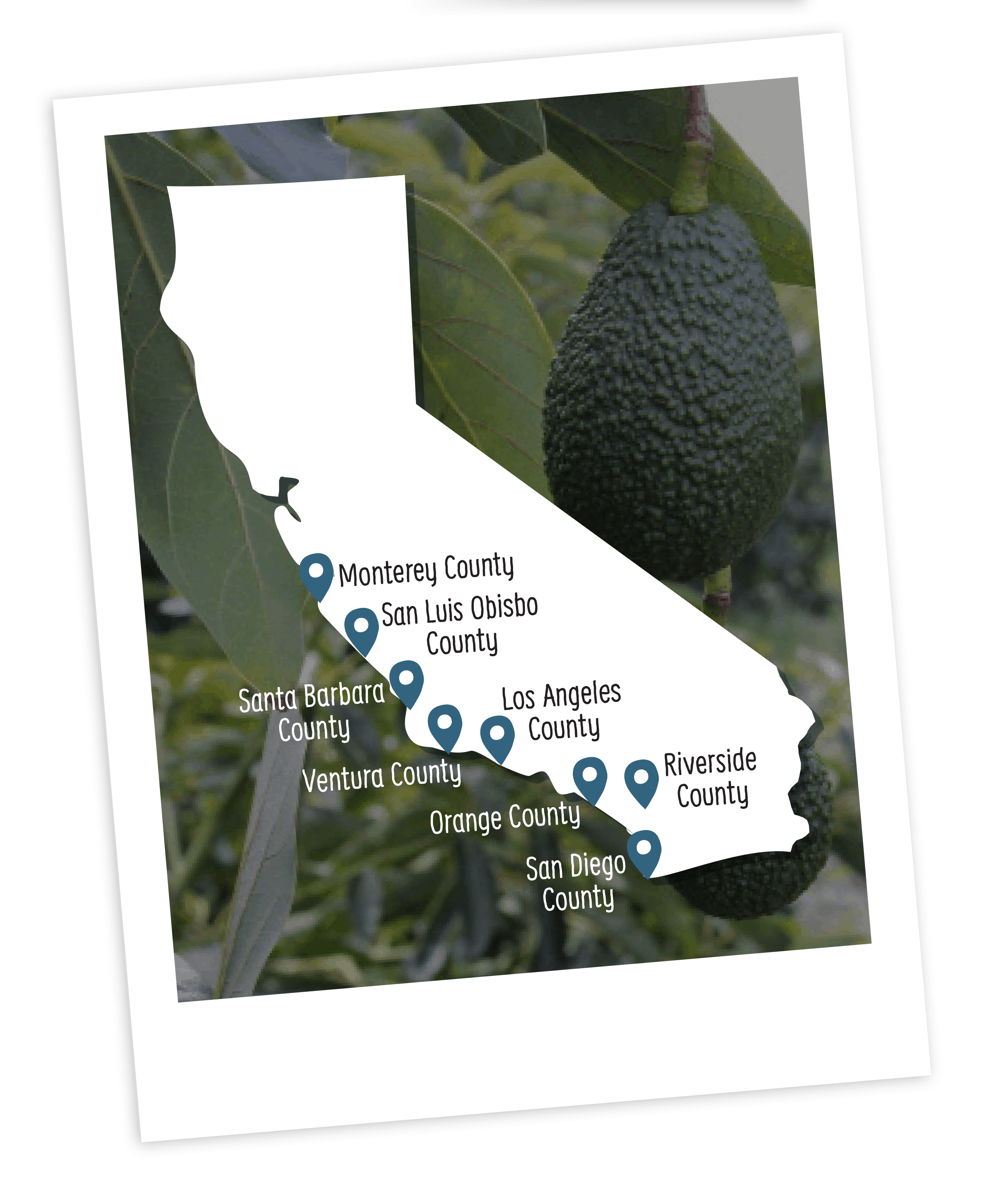 California Avocados Map