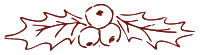 Drawing of holly leaves
